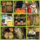 5 Tips to Pack Lunches Picky Kids Will Love