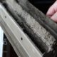 Mold Remediation Steps to remove mold from our home 1