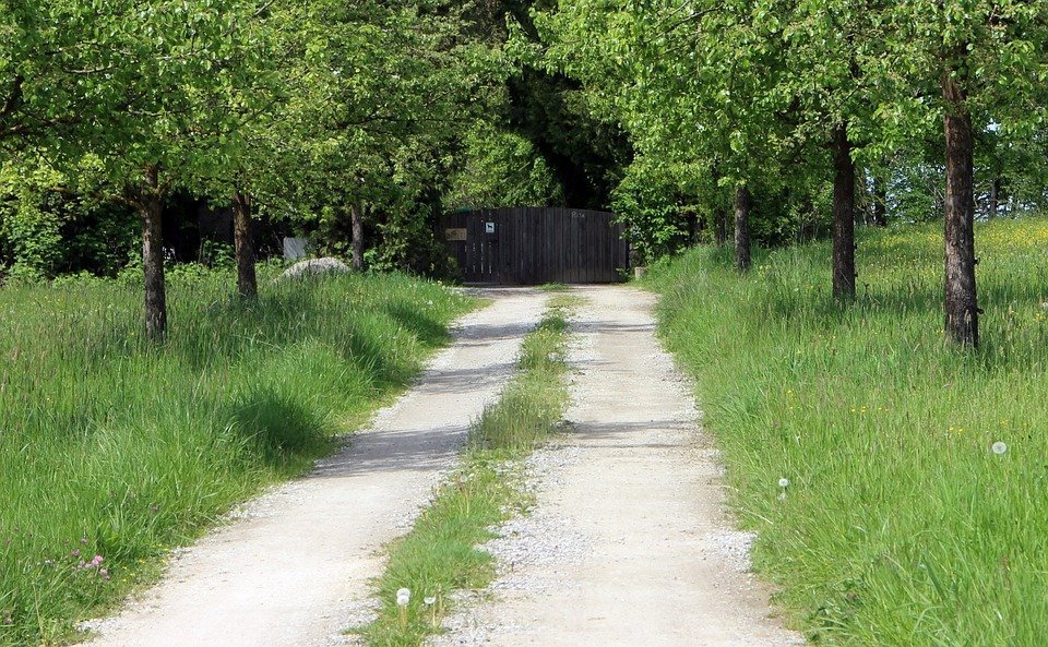 road journey